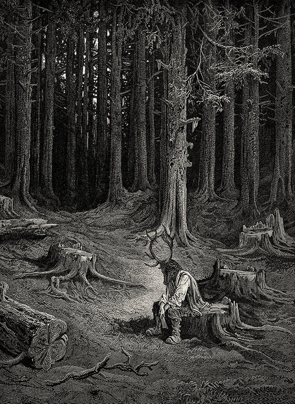 A Week of Twelve Days - Limited Edition Box Set - Dan Hillier