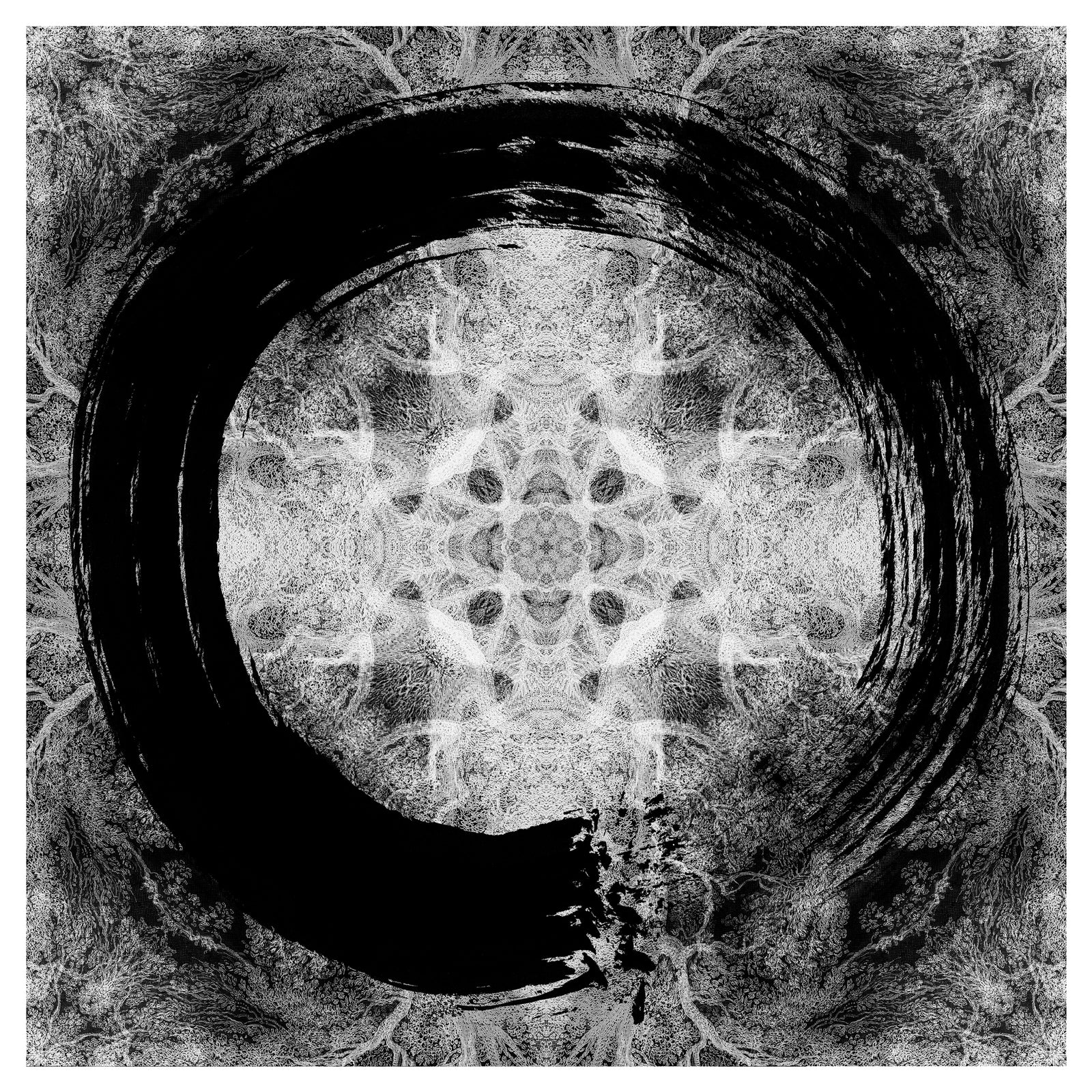 'Seven Hundred Million', and the desire to make work that encourages stillness