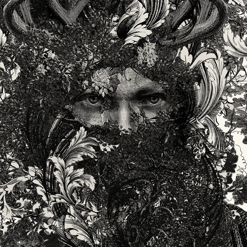 Blog by Dan Hillier