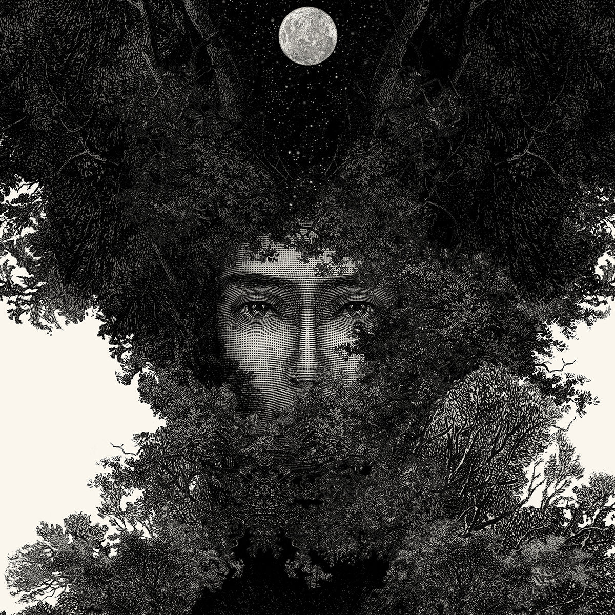 Revelator - artist proofs and giclee edition