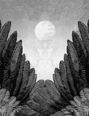Seraphim I ~ ready framed screen print