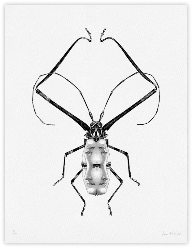 Beetle II ~ giclee print