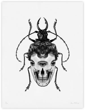Beetle ~ giclee print