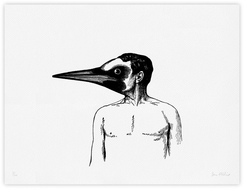 Bird ~ giclee print
