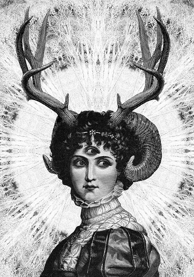 Luna (Forest Halo) II