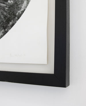 'Point' ~ ready framed in black ash