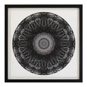 'Point' ~ ready framed in black ash