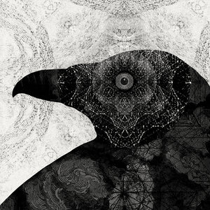 Raven