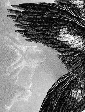 Seraphim II