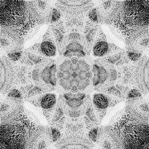 Seven Hundred Million ~ giclee print