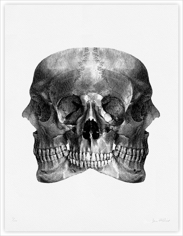 Skulls - giclee print